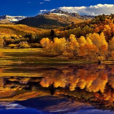 246天天好彩下载手机版